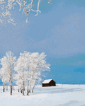 pic for Woodsy Cabin in the Snow